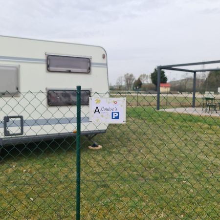 Louise'S Camper Hotell Neusiedl an der Zaya Exteriör bild