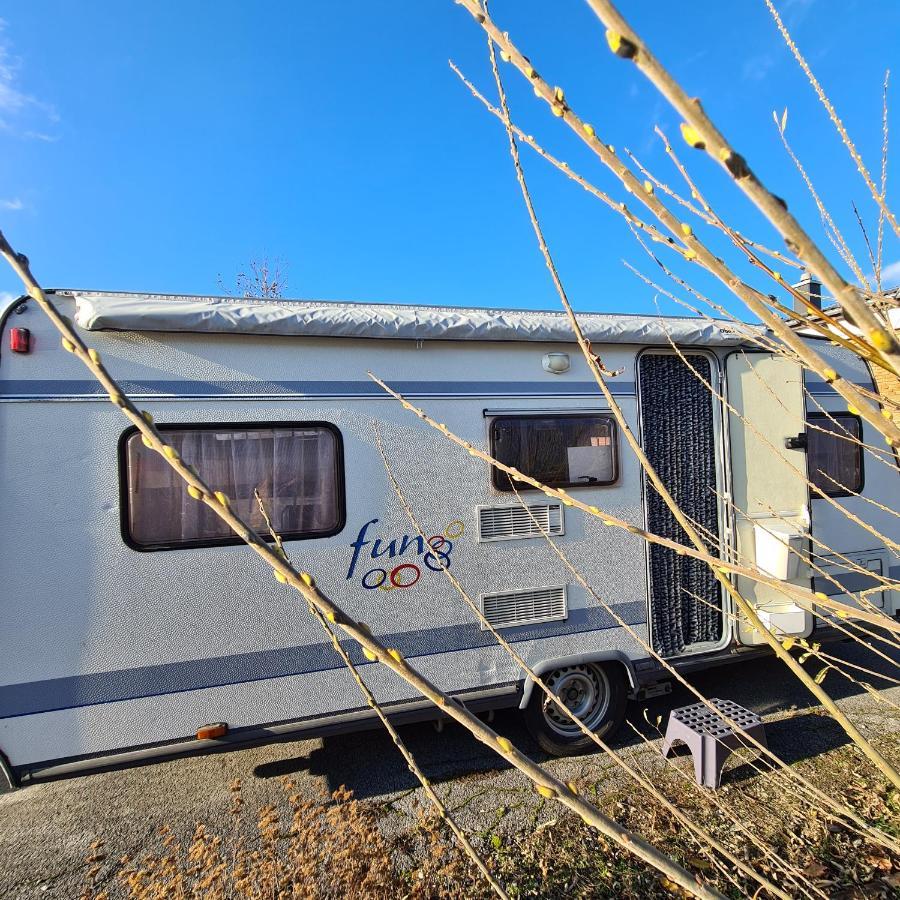 Louise'S Camper Hotell Neusiedl an der Zaya Exteriör bild